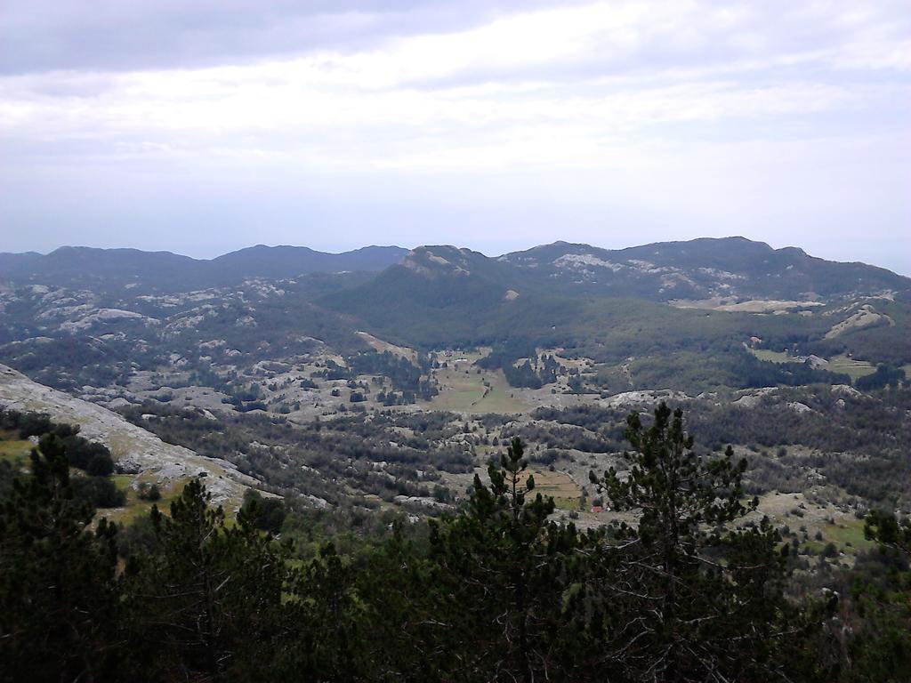 Apartments Mirkovic Cetinje Dış mekan fotoğraf